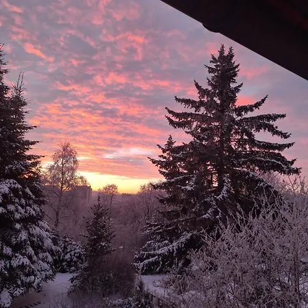 Adelheid Apartment Braunlage