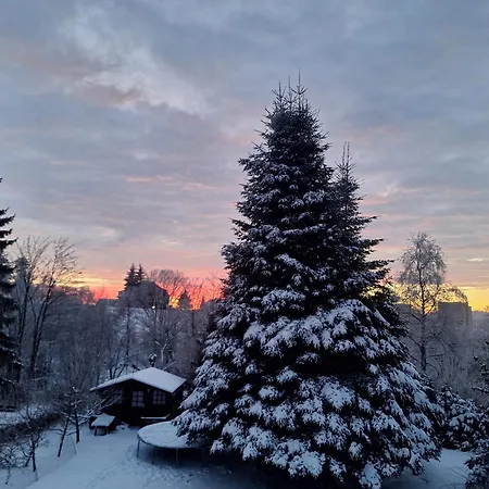 Adelheid Apartment *