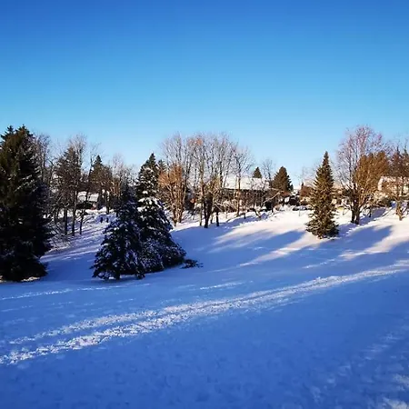 Adelheid Apartment Braunlage