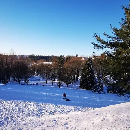 Adelheid Apartment Braunlage