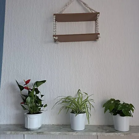 Apartment Adelheid *